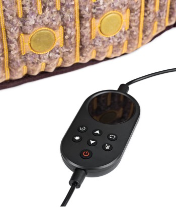 Infrared Band Therma